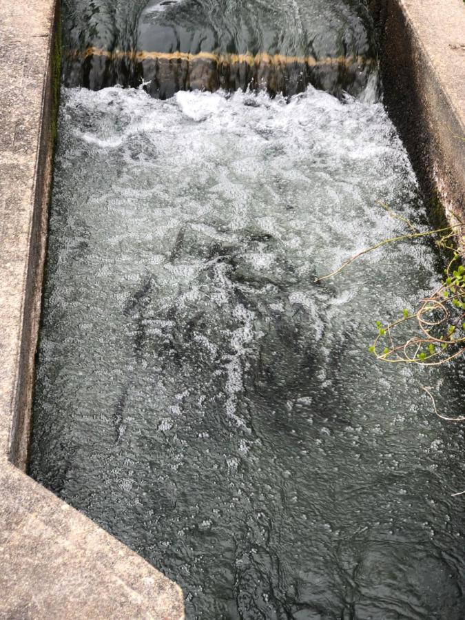 Herring Run Bourne Exterior foto